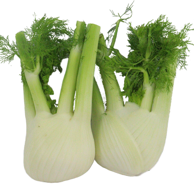 Fenouil (certifié AB)