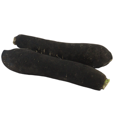 Radis noir long - Un Gout d'ici