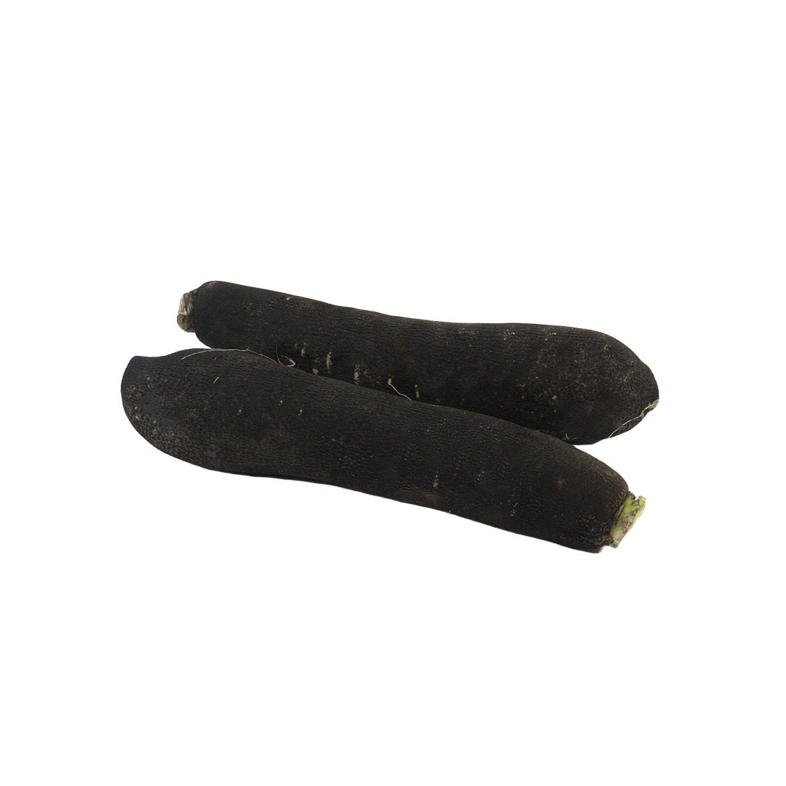 Radis noir long - Un Gout d'ici