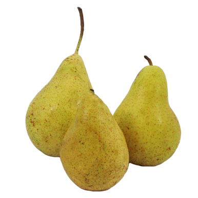 Poires harrow sweet (certifié AB) | Fruits Frais local - Un goût d'ici