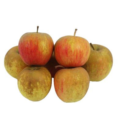 Pomme daligris (certifie AB)