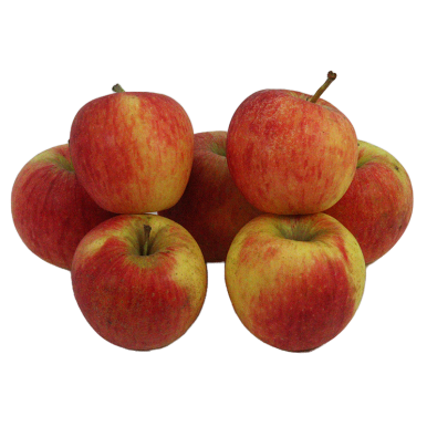 Pomme pinova (Certifié AB)