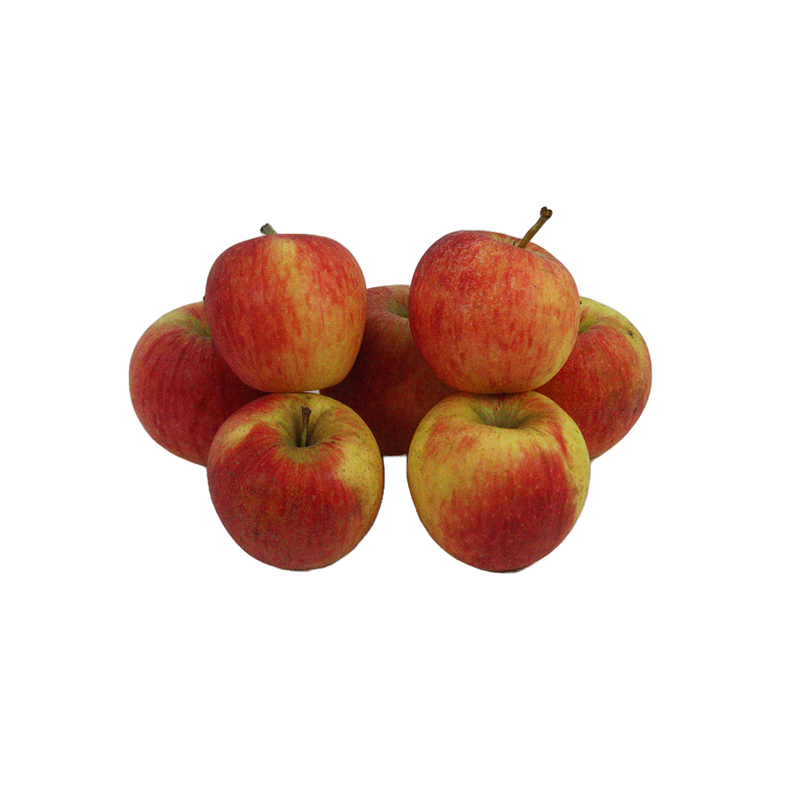 Pomme pinova (Certifié AB)