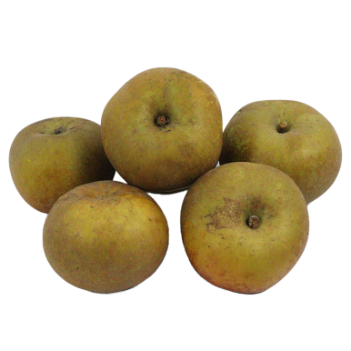 Pomme canada (certifié AB)