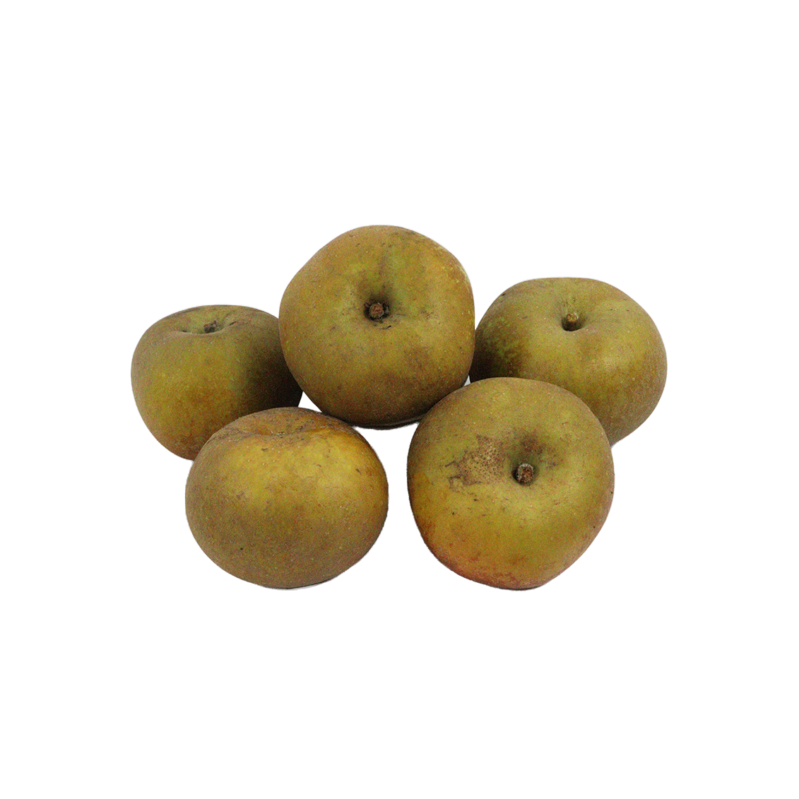Pomme canada (certifié AB)