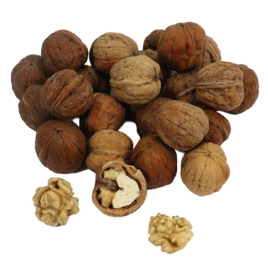 Noix Fraiche | Fruits à Coque local - Un goût d'ici