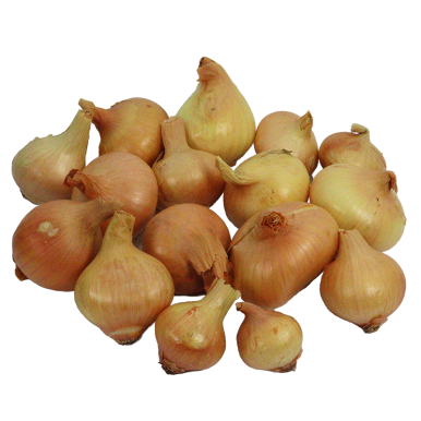 Minis oignons jaunes - Un Gout d'ici