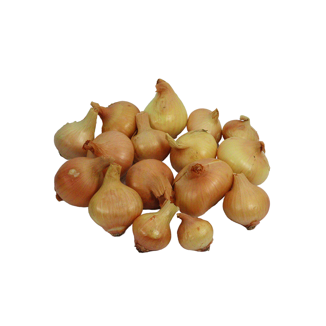 Minis oignons jaunes - Un Gout d'ici