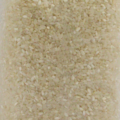 Riz rond blanc