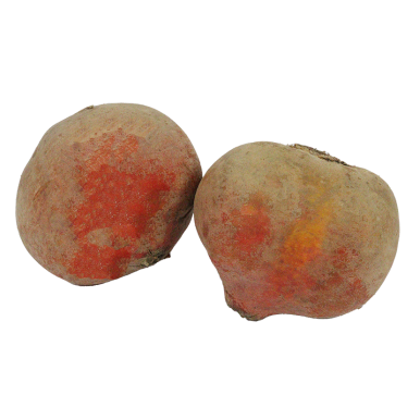 Betteraves jaune crue - Un Gout d'ici