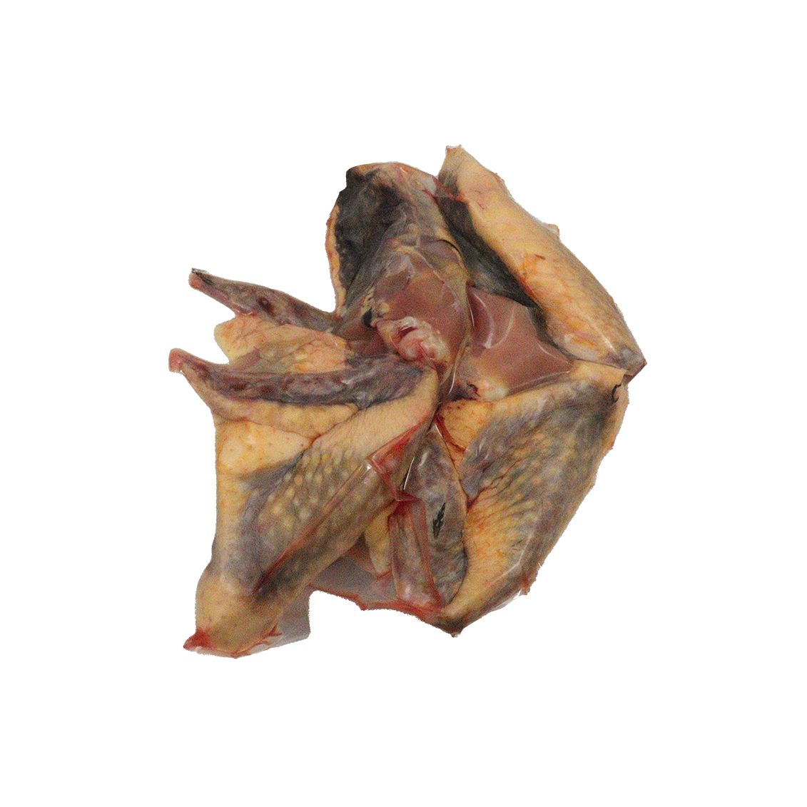 Pintade - 4 ou 5 Ailes