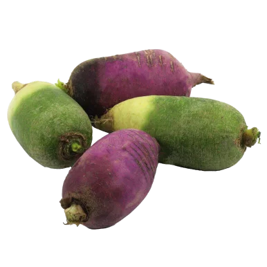 Mélange de radis colorés (certifié AB)