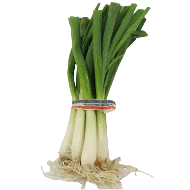 Oignon cebette blanc frais | Légumes Frais local - Un goût d'ici