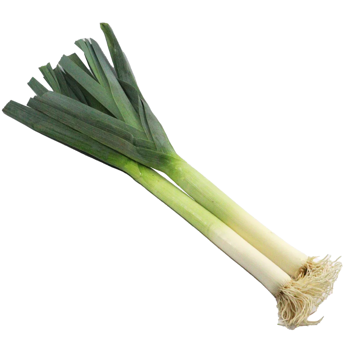 Poireaux - Un Gout d'ici