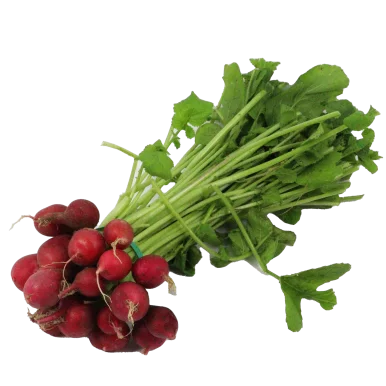 Radis rond rouge ( certfié AB) | Légumes Frais local - Un goût d'ici