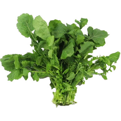 Roquette - Un Gout d'ici