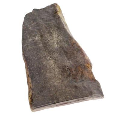 Canard - Magret séché entier