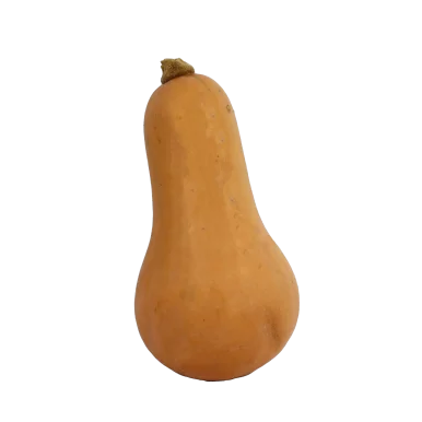 Mini butternut (certifié AB)