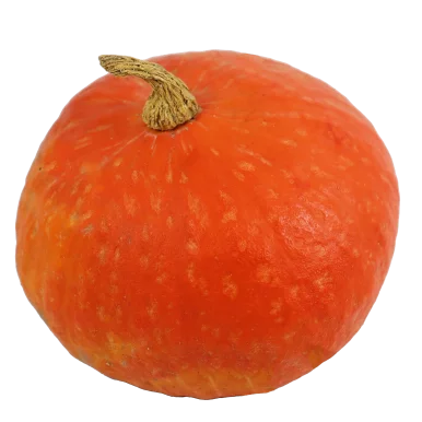 Potimarron (certifié AB)