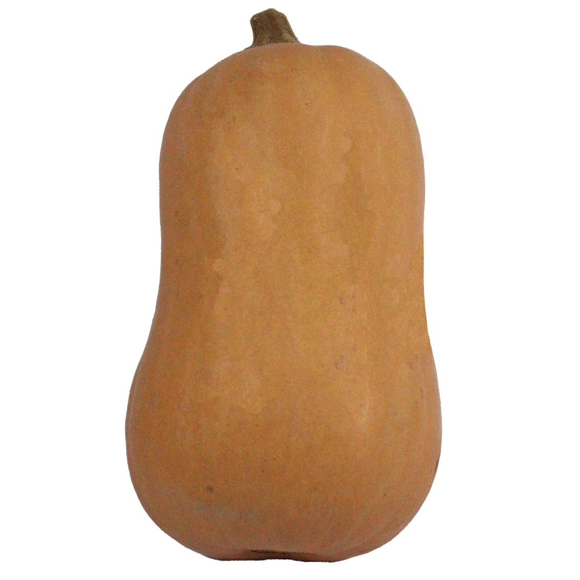 Butternut - Un Gout d'ici