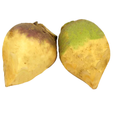 Rutabaga - Un Gout d'ici