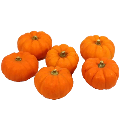 Mini potirons jack be little - Un Gout d'ici