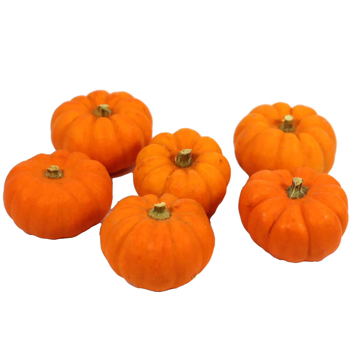 Mini potirons jack be little - Un Gout d'ici