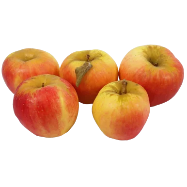Pomme delflopion(Certifié AB)