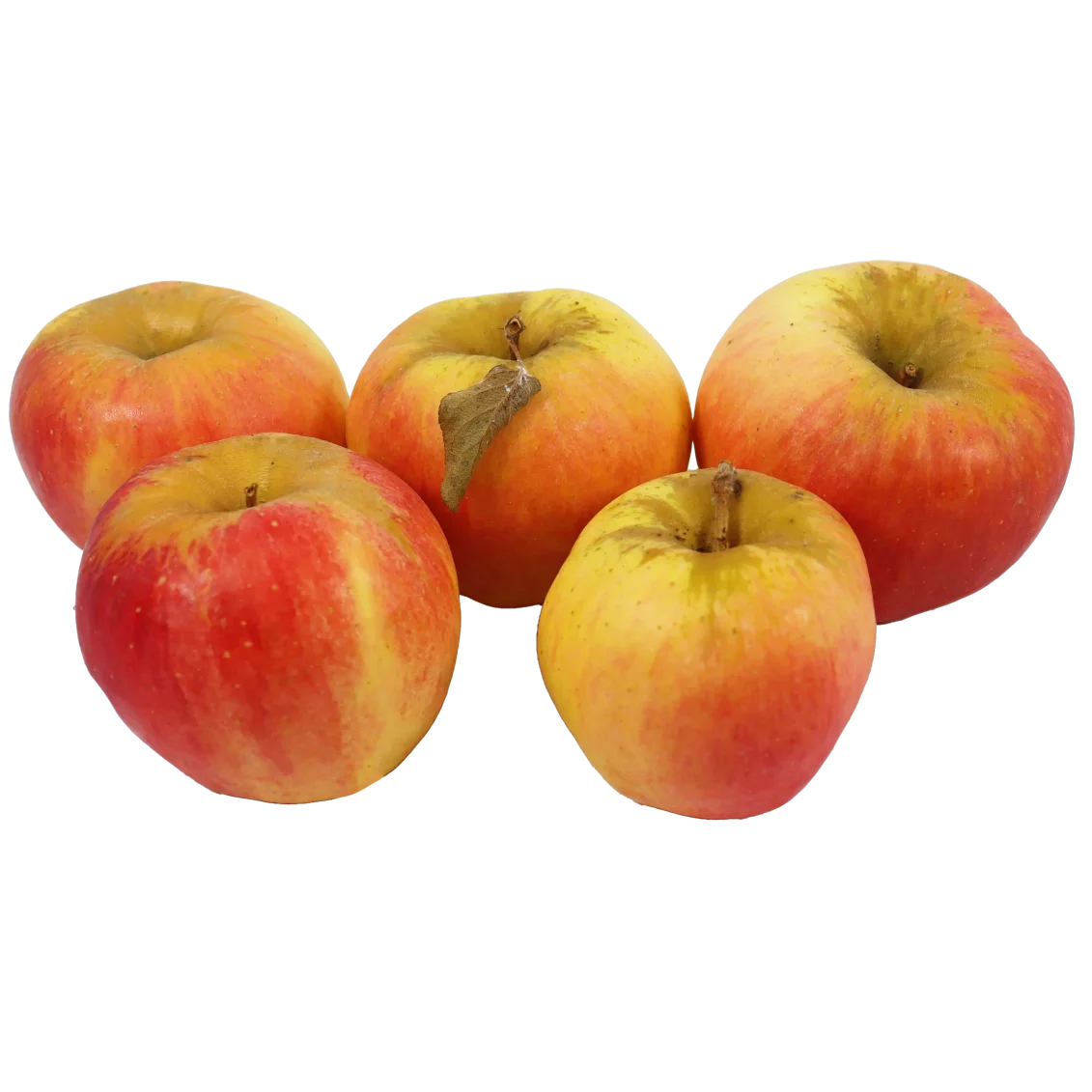 Pomme delflopion(Certifié AB)