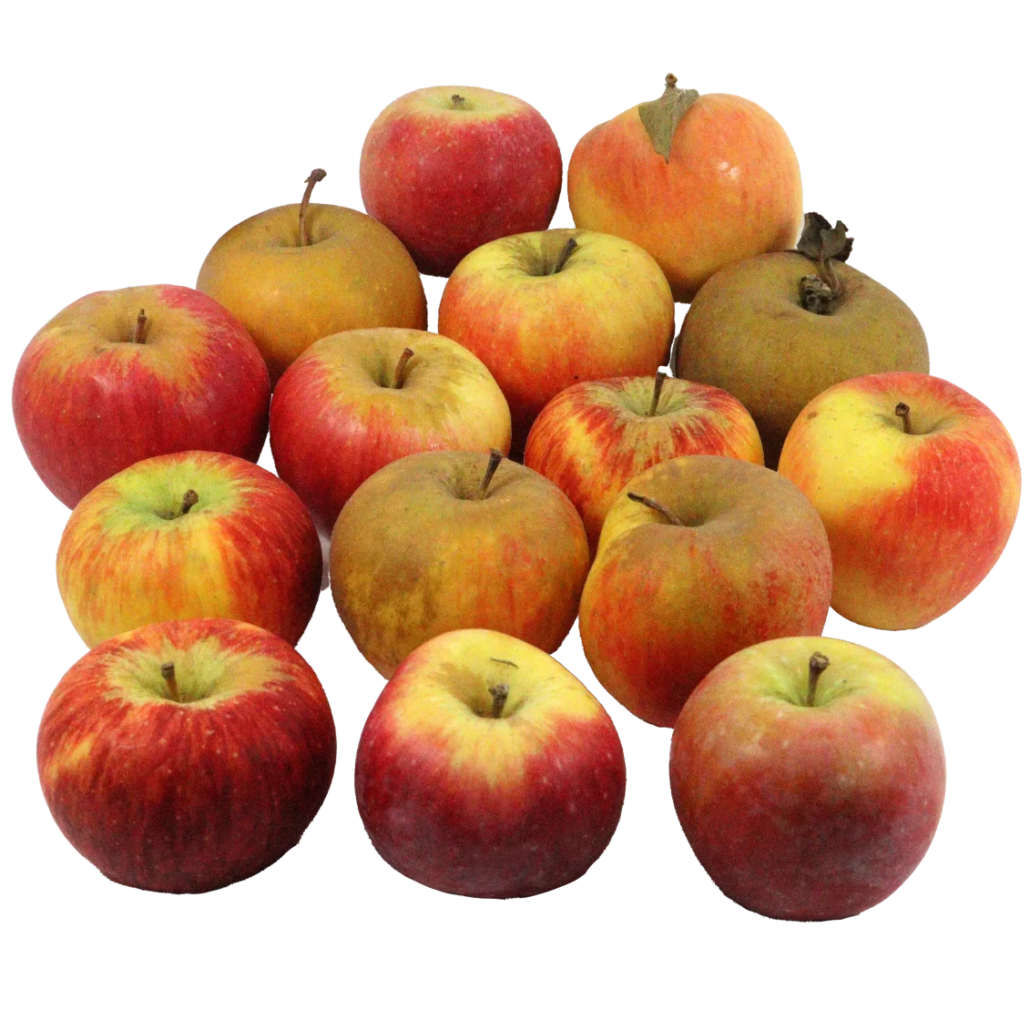 Mélange de Pommes (Certifié AB)