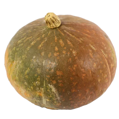 Potimarron vert (certifie AB)