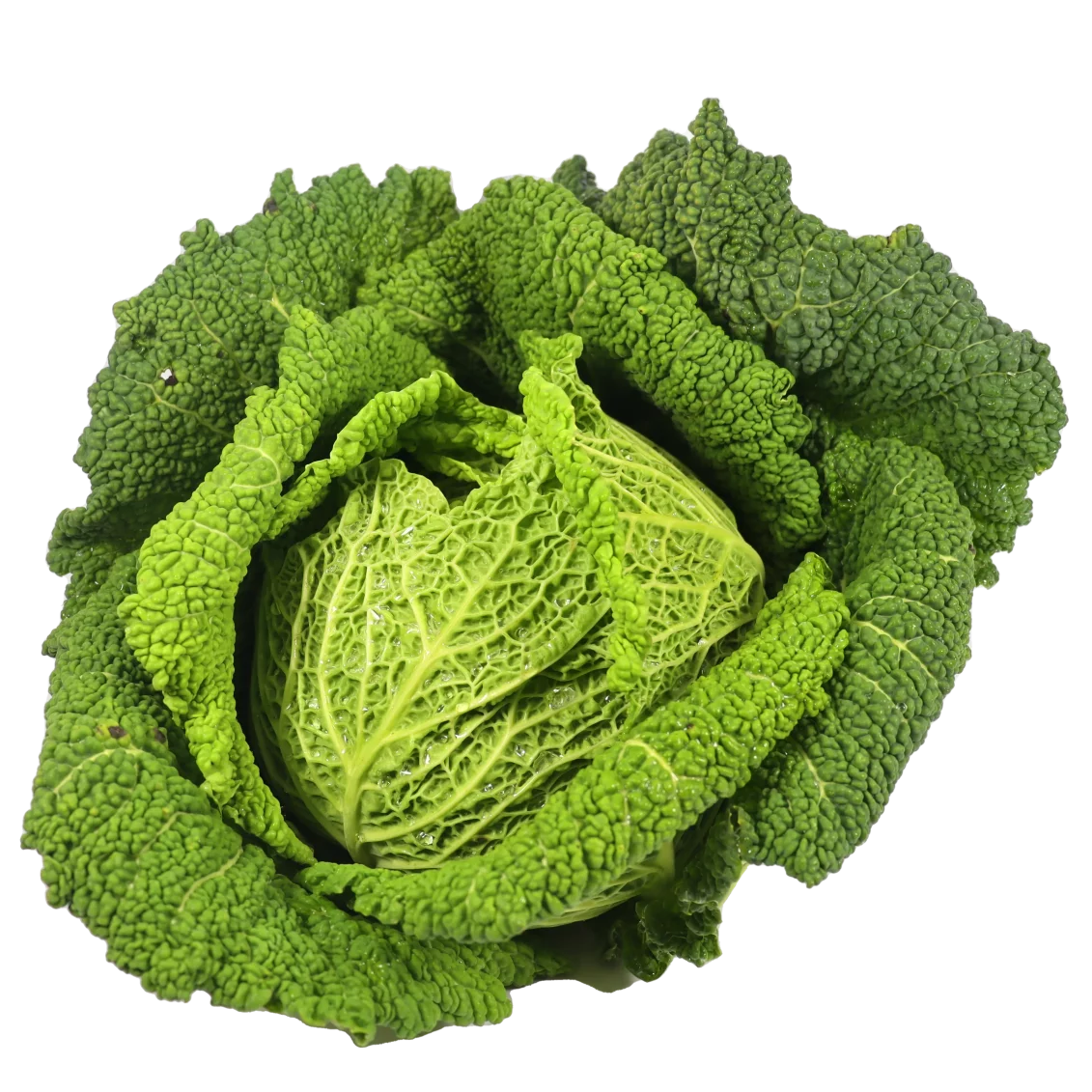 Chou vert(certifié AB)