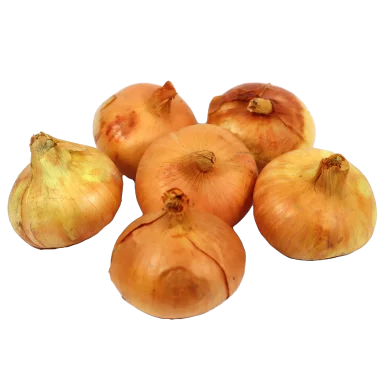 Petits oignons jaunes - Un Gout d'ici