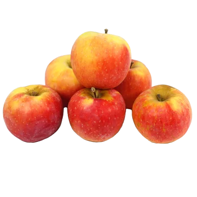 Pomme florina(certifié AB)