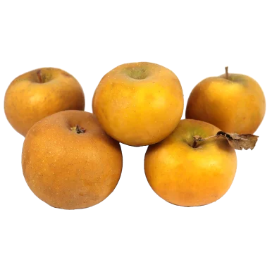 Pomme belgrise (Certifié AB)