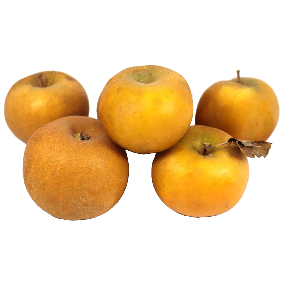 Pomme belgrise (Certifié AB)
