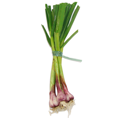 Aillet - Un Gout d'ici