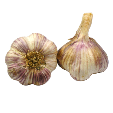 Ail violet - Un Gout d'ici