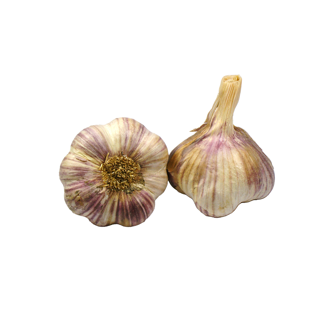 Ail violet - Un Gout d'ici