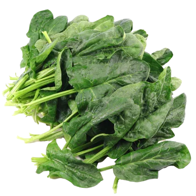 Epinards feuilles ramassés à  la main - Un Gout d'ici