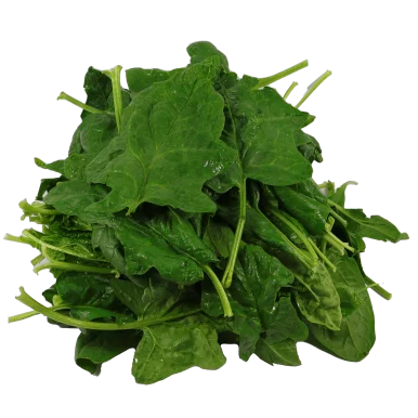 Epinards (certifié AB)