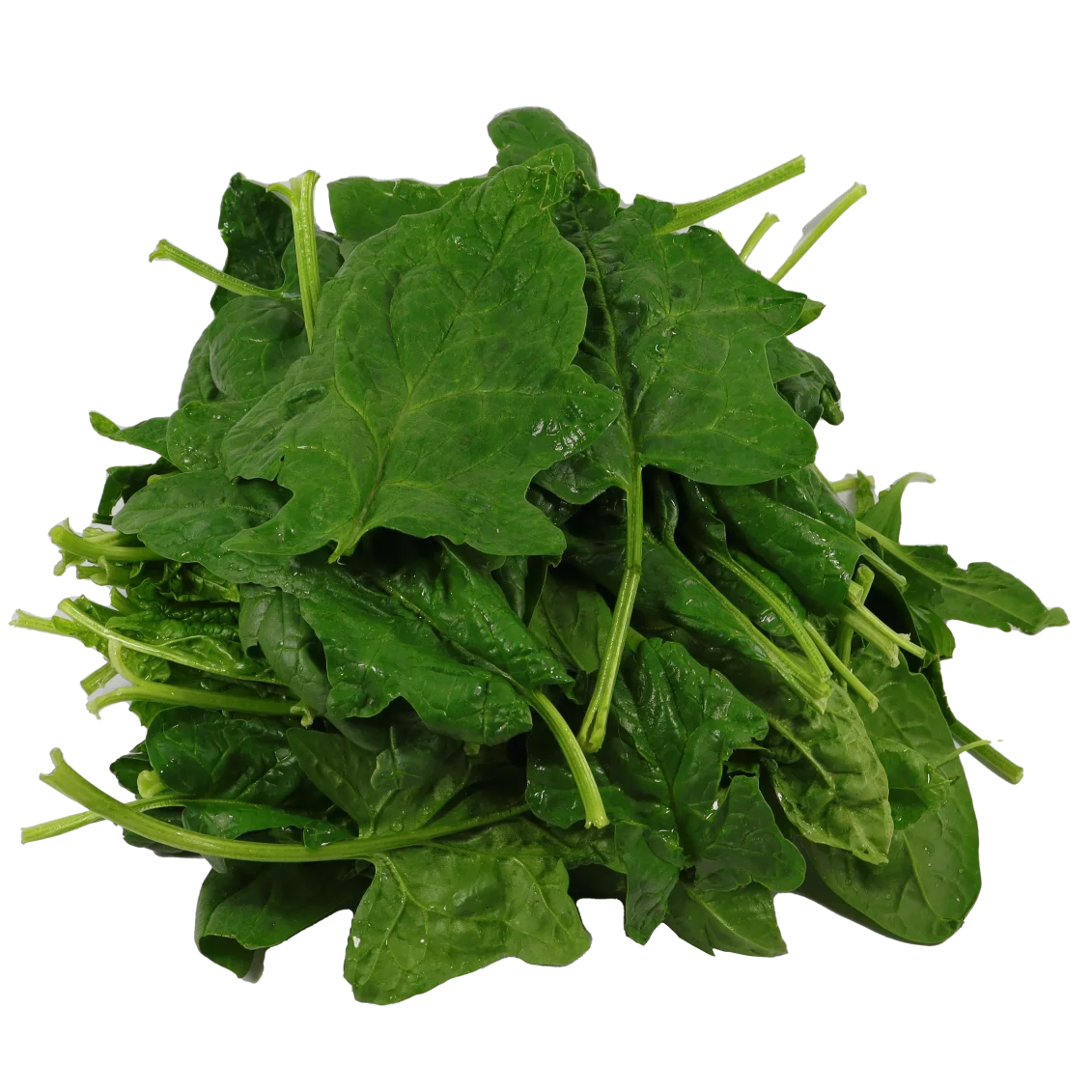 Epinards (certifié AB)