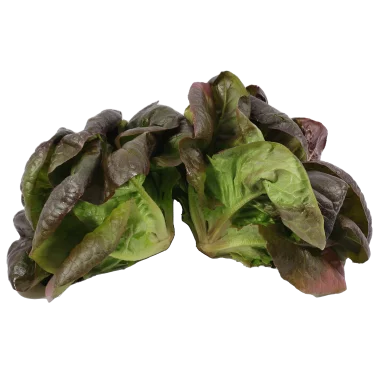 Sucrines rouge - Un Gout d'ici