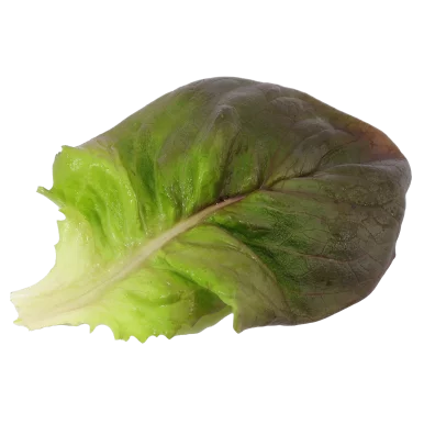 Sucrines rouge - Un Gout d'ici