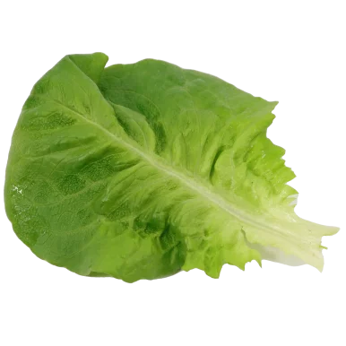 Sucrines vertes - Un Gout d'ici