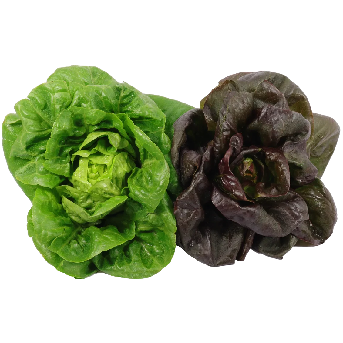 Duo de sucrines - Un Gout d'ici