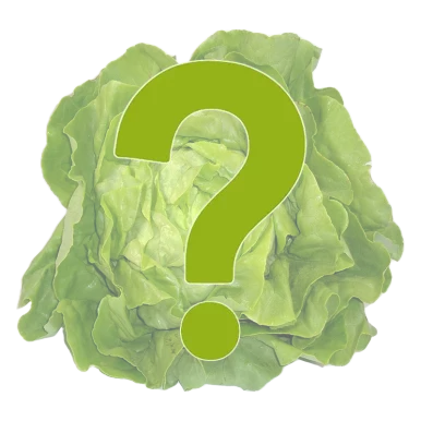 Salade (variété surprise) - Un Gout d'ici