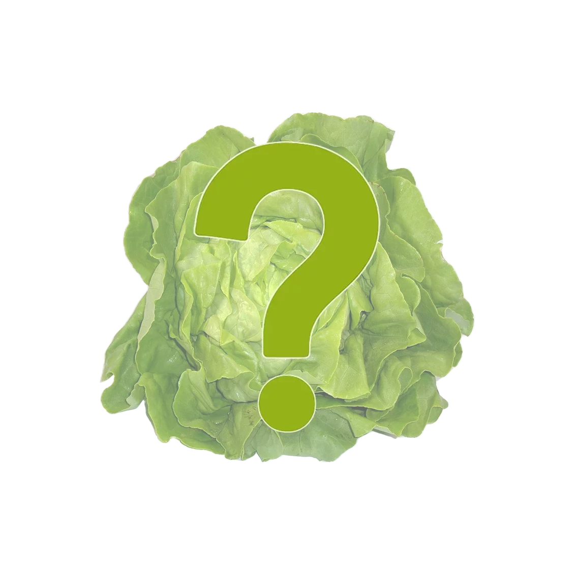 Salade (variété surprise) - Un Gout d'ici