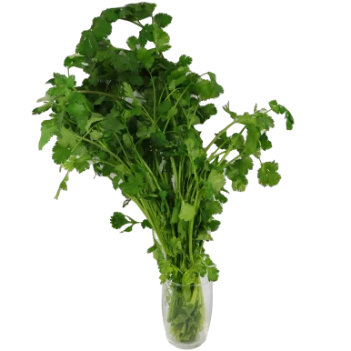 Coriandre - Un Gout d'ici