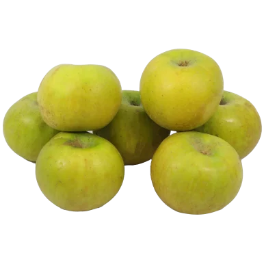 Pomme reinette clochard (certifié AB)